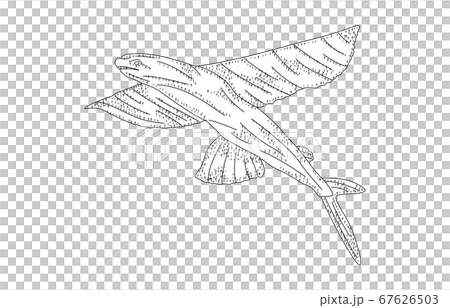 88 constellation with shadow without line 67626503