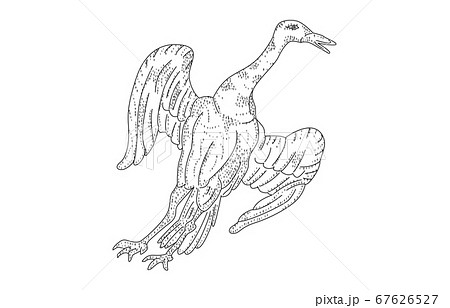 88星座影あり線なし白つる座 88星座影あり線なし白つる座 67626527