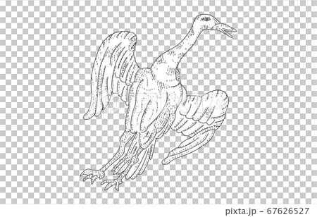 88星座影あり線なし白つる座 88星座影あり線なし白つる座 67626527