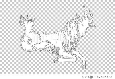 88星座影あり線なし白やぎ座 88星座影あり線なし白やぎ座 67626528