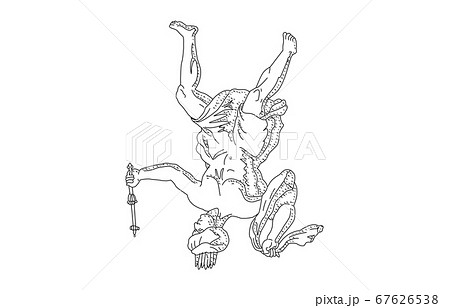 88星座影あり線なし白ケフェウス座 67626538