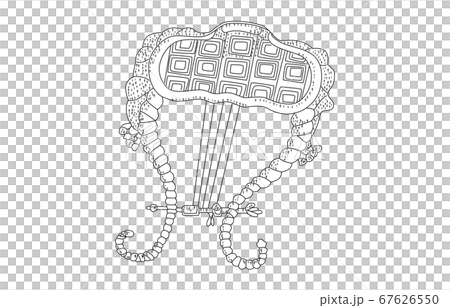 88星座帶陰影無線條 88星座帶陰影無線條 67626550