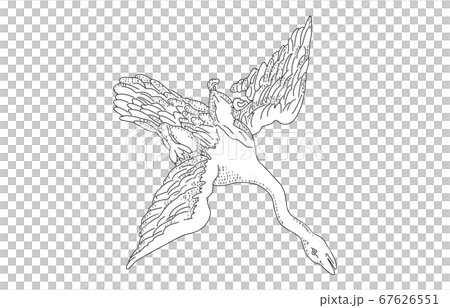 88星座有陰影無線白天鵝座 67626551