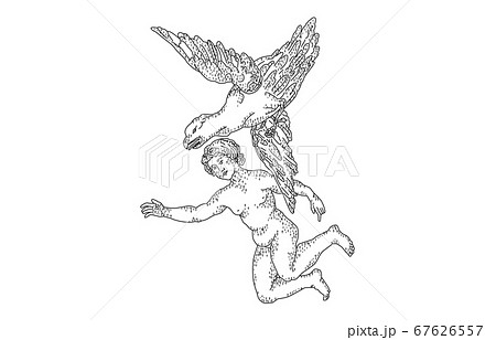 88星座影あり線なし白わし座 67626557