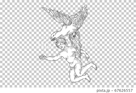 88星座影あり線なし白わし座 67626557