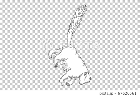 88 constellation with shadow without line white bear 88 constellation with shadow without line white bear 67626561