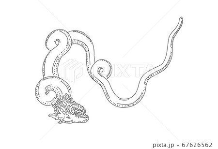 88星座影あり線なし白りゅう座 88星座影あり線なし白りゅう座 67626562