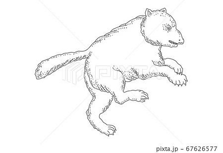 88星座影あり線なし白おおぐま座 67626577