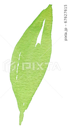 背景-花柄-カラー-葉-植物-素材-パターン-水彩-絵具 67627615