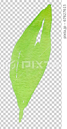 背景-花柄-カラー-葉-植物-素材-パターン-水彩-絵具 67627615