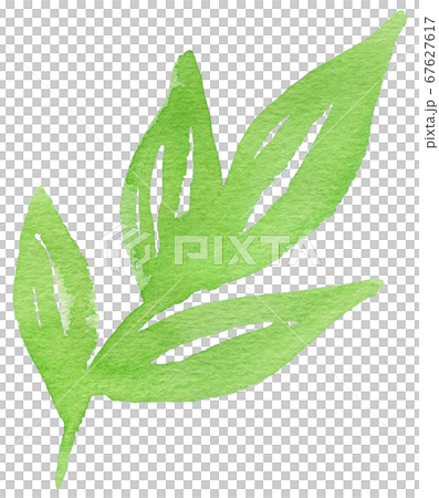 背景-花柄-カラー-葉-植物-素材-パターン-水彩-絵具 67627617