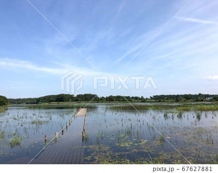 池の桟橋と青空　ベンセ湿原 67627881