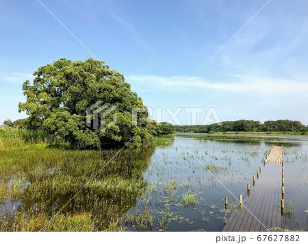 ベンセ湿原の池と青空 ベンセ湿原の池と青空 67627882
