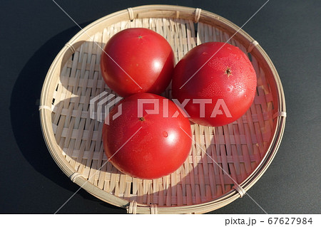 トマト トマト 67627984