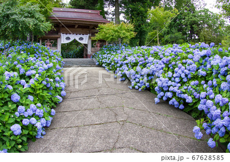 死ぬまでに行きたい絶景 秋田県雲昌寺 死ぬまでに行きたい絶景 秋田県雲昌寺 67628585