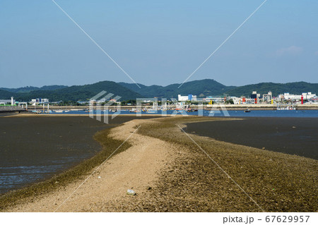 安山市 海 干潟 67629957