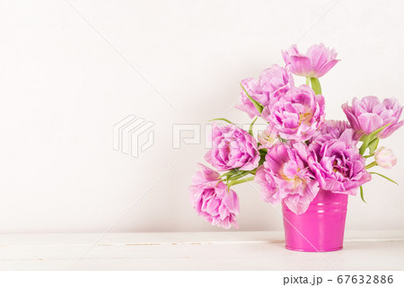Beautiful Bunch of Peony Style Tulips in the Pink 67632886