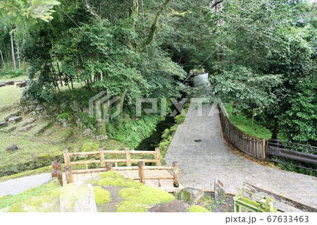 丸池湧水遊歩道 丸池湧水遊歩道 67633463