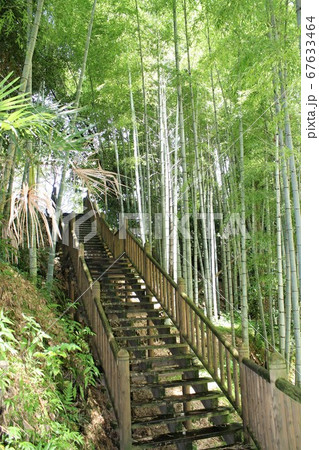 丸池湧水展望広場への階段 丸池湧水展望広場への階段 67633464