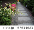 小花とつぼみの路地【5月】 67634683