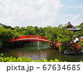 京都神泉苑の風景、橋【5月】 67634685