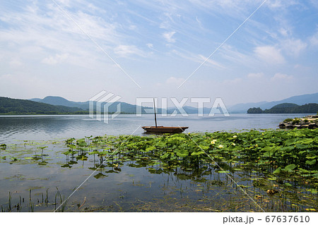 風景 自然 楊平郡 67637610