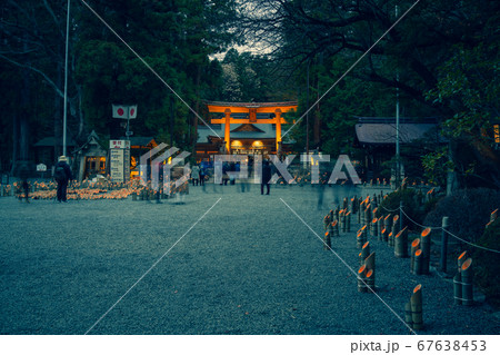 安曇野神竹灯【穂高神社】 67638453