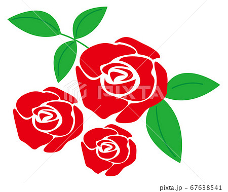 赤いバラの花のベクターイラストのイラスト素材