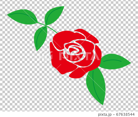赤いバラの花のベクターイラストのイラスト素材