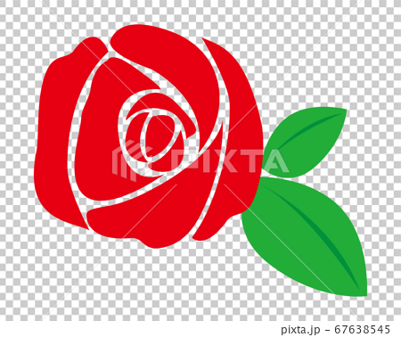 roses vector png