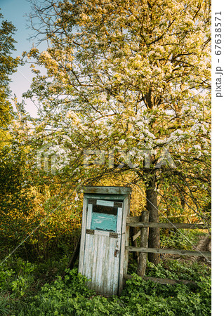 Cabin Of Old Wooden Country Toilet In Spring Day Cabin Of Old Wooden Country Toilet In Spring Day 67638571