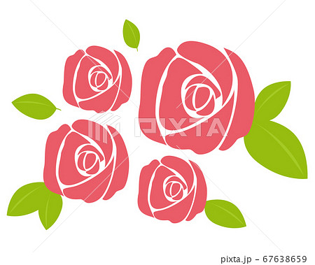 ピンクのバラの花のベクターイラストのイラスト素材