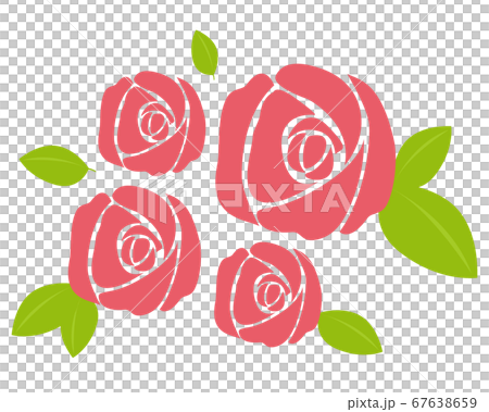 ピンクのバラの花のベクターイラストのイラスト素材