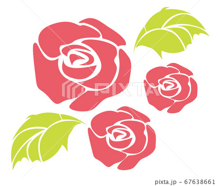 ピンクのバラの花のベクターイラストのイラスト素材