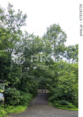 横浜市戸塚区舞岡公園（原風景風） 67638756