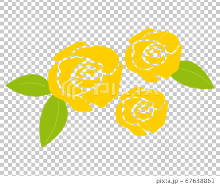 黃玫瑰矢量插畫 黃玫瑰矢量插畫 67638861