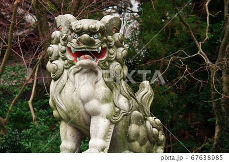 三國神社の狛犬（鳥居前）：福井県坂井市三国 67638985