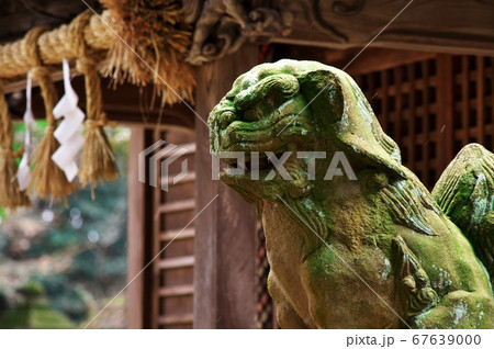 三國神社の狛犬（拝殿前）：福井県坂井市三国 67639000