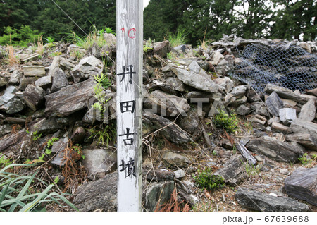 徳島県　春　東みよし町　丹田古墳 67639688