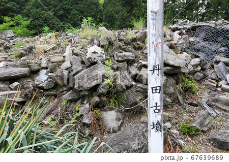徳島県 春 東みよし町 丹田古墳 徳島県 春 東みよし町 丹田古墳 67639689