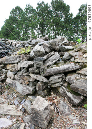 徳島県 春 東みよし町 丹田古墳 徳島県 春 東みよし町 丹田古墳 67639693