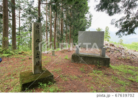 徳島県 春 東みよし町 丹田古墳 徳島県 春 東みよし町 丹田古墳 67639702