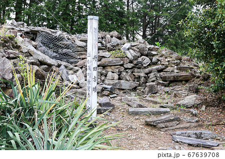 徳島県 春 東みよし町 丹田古墳 徳島県 春 東みよし町 丹田古墳 67639708