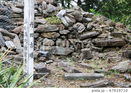 徳島県　春　東みよし町　丹田古墳 67639710