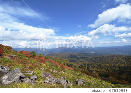 銀泉台の紅葉(北海道・上川町・大雪山系) 銀泉台の紅葉(北海道・上川町・大雪山系) 67639933