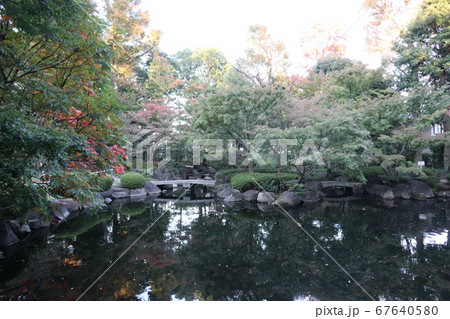 太田黒公園(東京都杉並区荻窪) 67640580