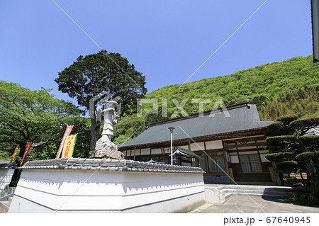 徳島県　春　東みよし町　新四国曼陀羅霊場 65番　願成寺 67640945