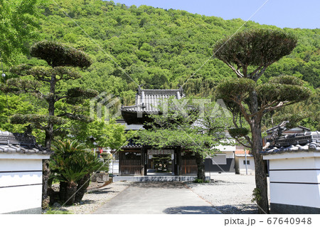 徳島県　春　東みよし町　新四国曼陀羅霊場 65番　願成寺 67640948