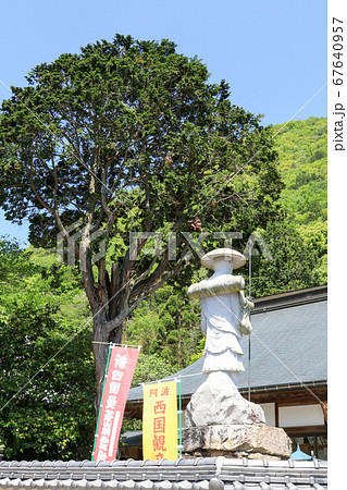 徳島県 春 東みよし町 新四国曼陀羅霊場 65番 願成寺 徳島県 春 東みよし町 新四国曼陀羅霊場 65番 願成寺 67640957