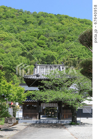 徳島県　春　東みよし町　新四国曼陀羅霊場 65番　願成寺 67640958